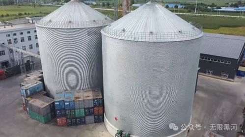 牢記囑托 奮力開創高質量發展新局面丨黑河自貿片區 跨境產業集聚 構筑向北開放新高地