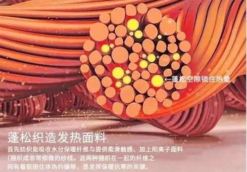 簡(jiǎn)單好看的冬季穿搭 顯瘦又高級(jí) 時(shí)髦到爆