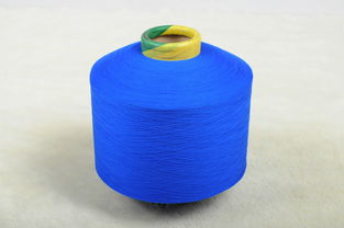 化學(xué)纖維 諸暨市大唐晨?；w廠