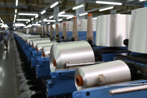 特別報(bào)道 這群老外,今天因何對吉林化纖豎起了大拇指