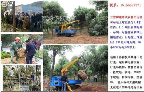 供應(yīng)高效苗木吊裝機(jī) 三普牌履帶式農(nóng)林吊運機(jī)助力園林作業(yè)現(xiàn)代化